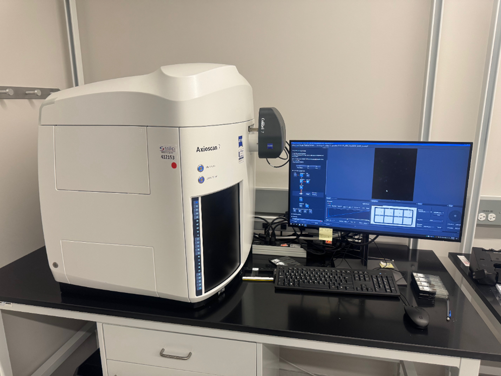 Image of Zeiss Axioscan 7 Confocal microscope